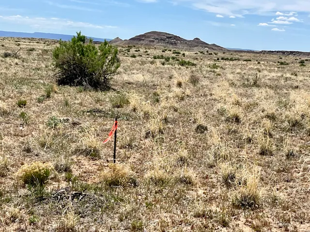 42424 Kokopelli Trl, Cisco, Utah 84515