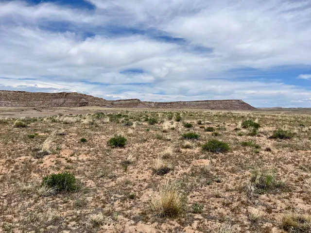 42424 Kokopelli Trl, Cisco, Utah 84515