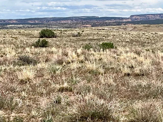 42424 Kokopelli Trl, Cisco, Utah 84515