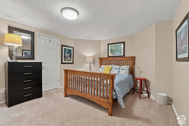 Bedroom #3 in Basement