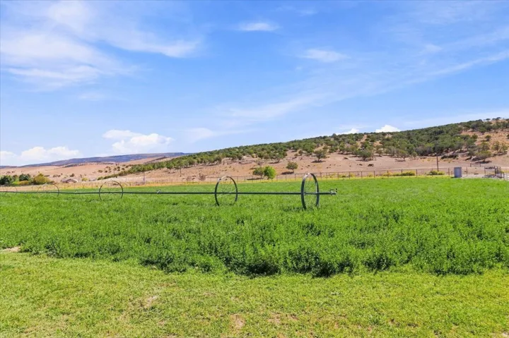 Expansive green pasture with a sprinkler system, bordered by a fence and natural terrain