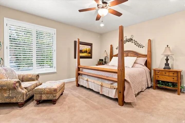 Plush carpeting and neutral-toned walls