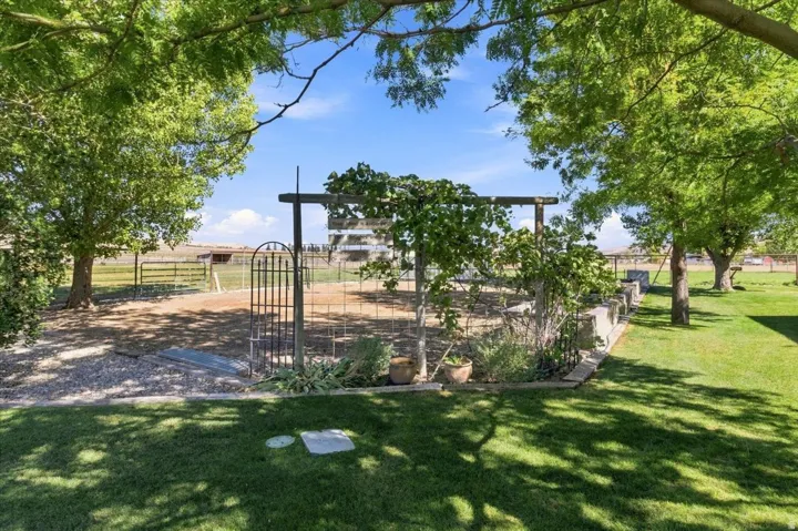 Expansive lawn featuring mature trees, a gravel area, a metal gate, and a pergola-style structure