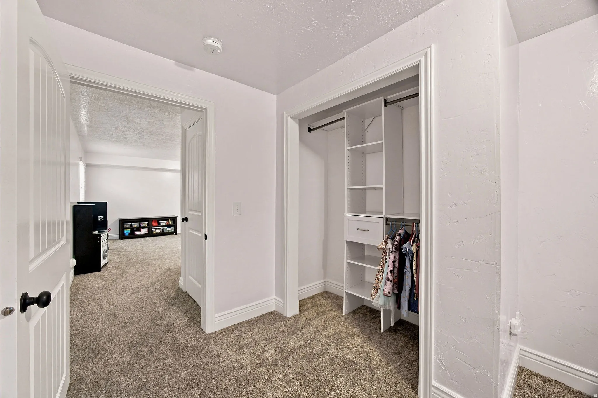 Built-in closet organization system, white trim, paneled doors, and carpeted flooring