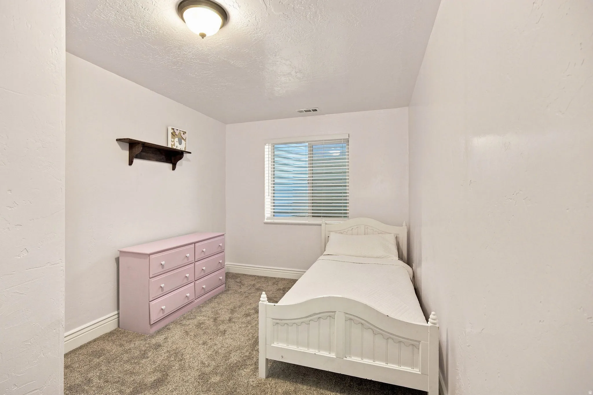 Window with horizontal blinds, textured walls, wall-to-wall carpeting, and a ceiling-mounted light fixture