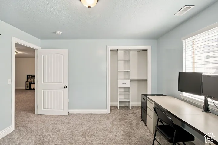 Carpeted basement bedroom, built-in closet organization system, and white window blinds