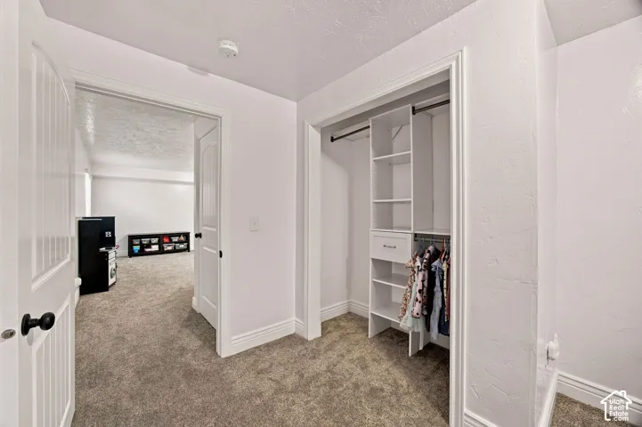 Built-in closet organization system, white trim, paneled doors, and carpeted flooring