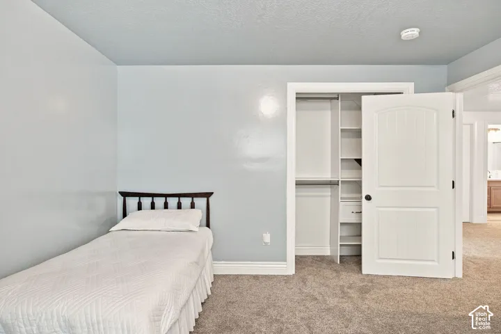 Plush carpet flooring, light blue wall paint, white trim, and a built-in closet system