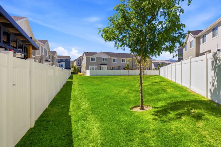 Expansive green lawn with a young tree, bordered by white privacy fencing