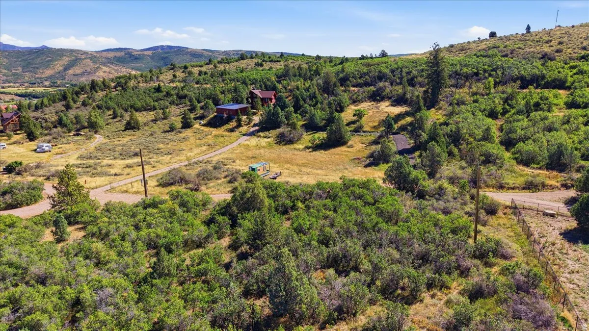 Expansive natural landscape featuring rolling hills, mature trees, and a distant mountain range