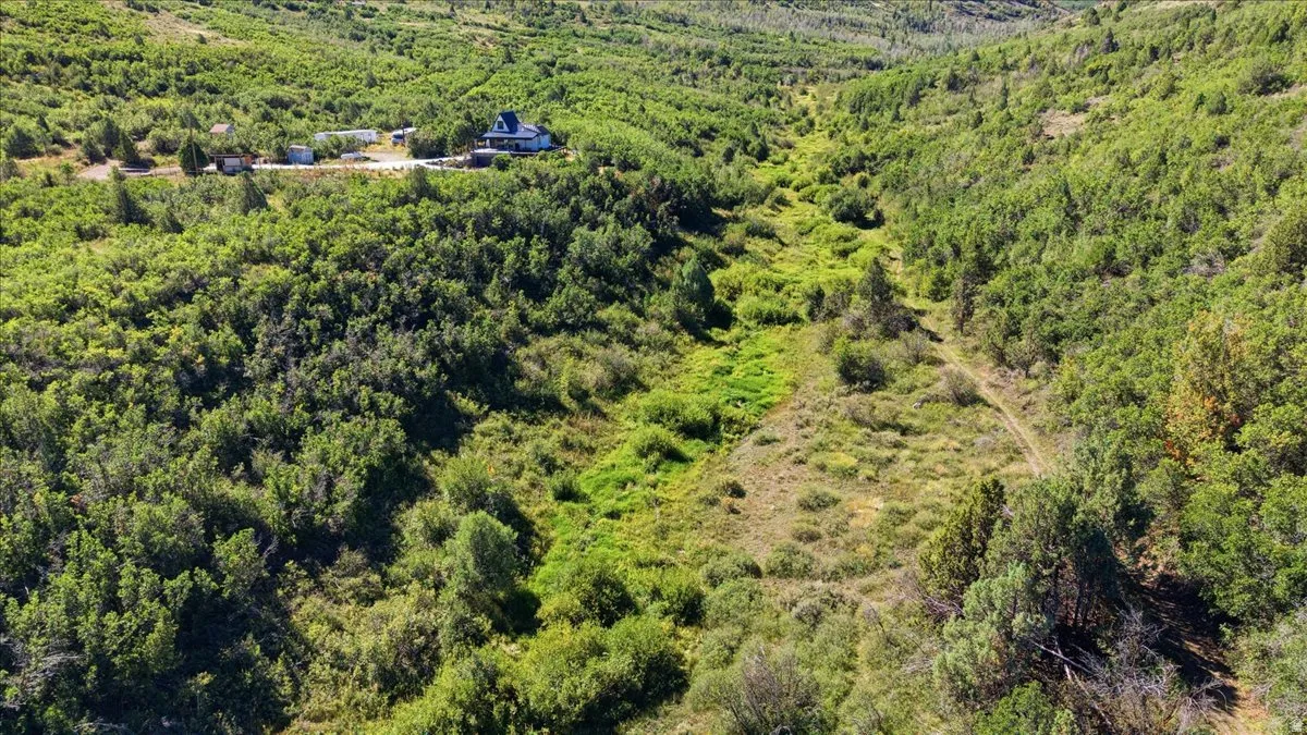 Expansive, undulating terrain with varied green foliage and a visible structure