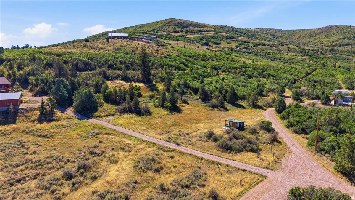Expansive undeveloped land featuring natural foliage and a partial gravel driveway