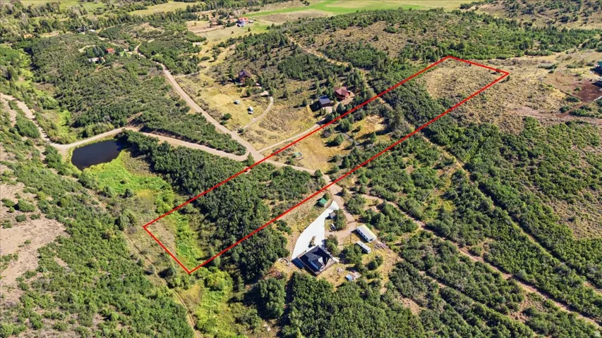Expansive property featuring varied topography, dense tree coverage, and a natural pond