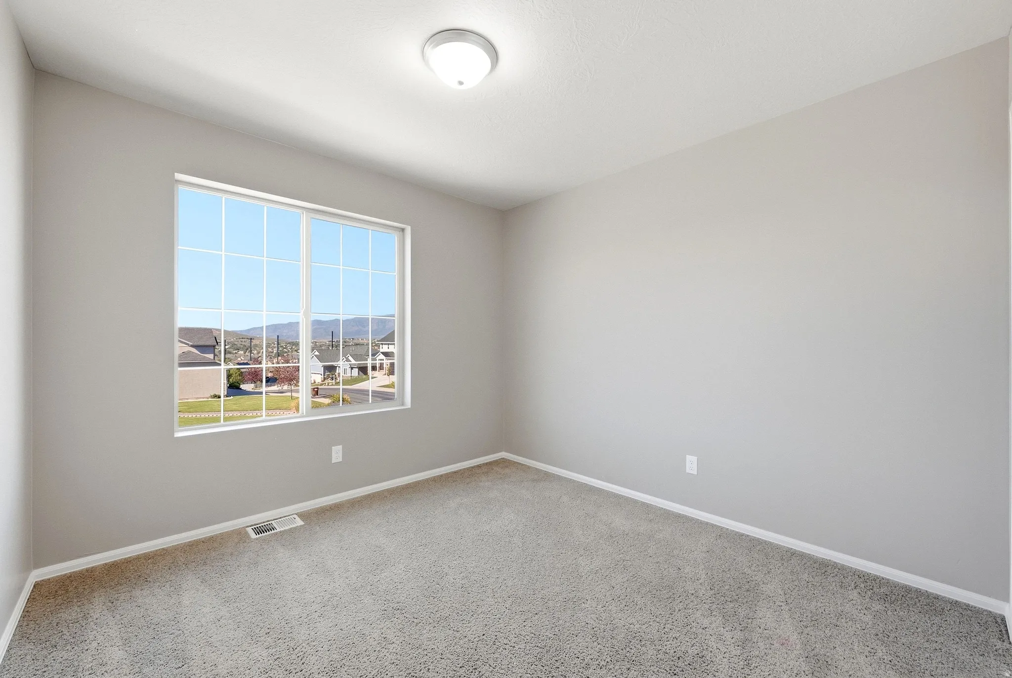Neutral wall color, carpeted flooring, large grid window, ceiling-mounted light fixture