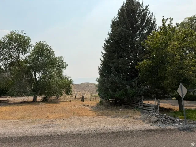Mature trees, natural terrain, and distant hills
