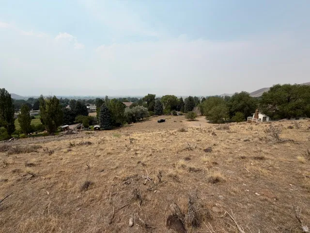 Expansive land with a gentle slope and natural ground cover