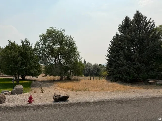 Mature trees and natural landscaping define this expansive outdoor space, featuring a gravel area and a rustic wooden fence