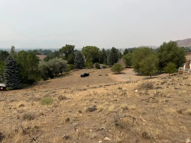 Expansive land parcel with natural vegetation, mature trees, and distant structures
