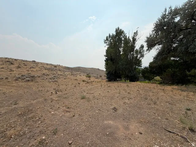 Expansive undeveloped terrain featuring natural vegetation and distant trees