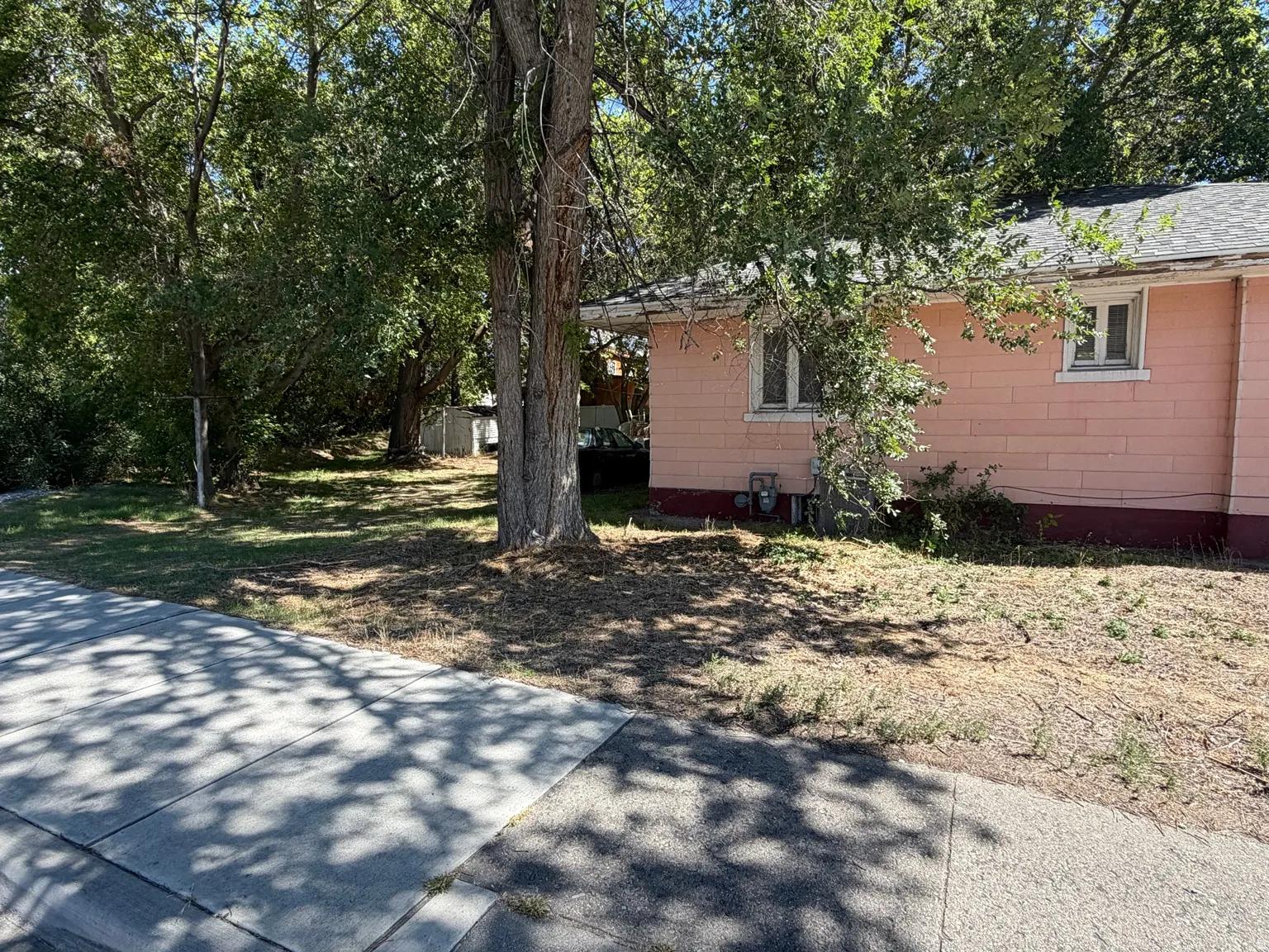 Exterior features horizontal siding, a gabled roof, and multiple mature trees