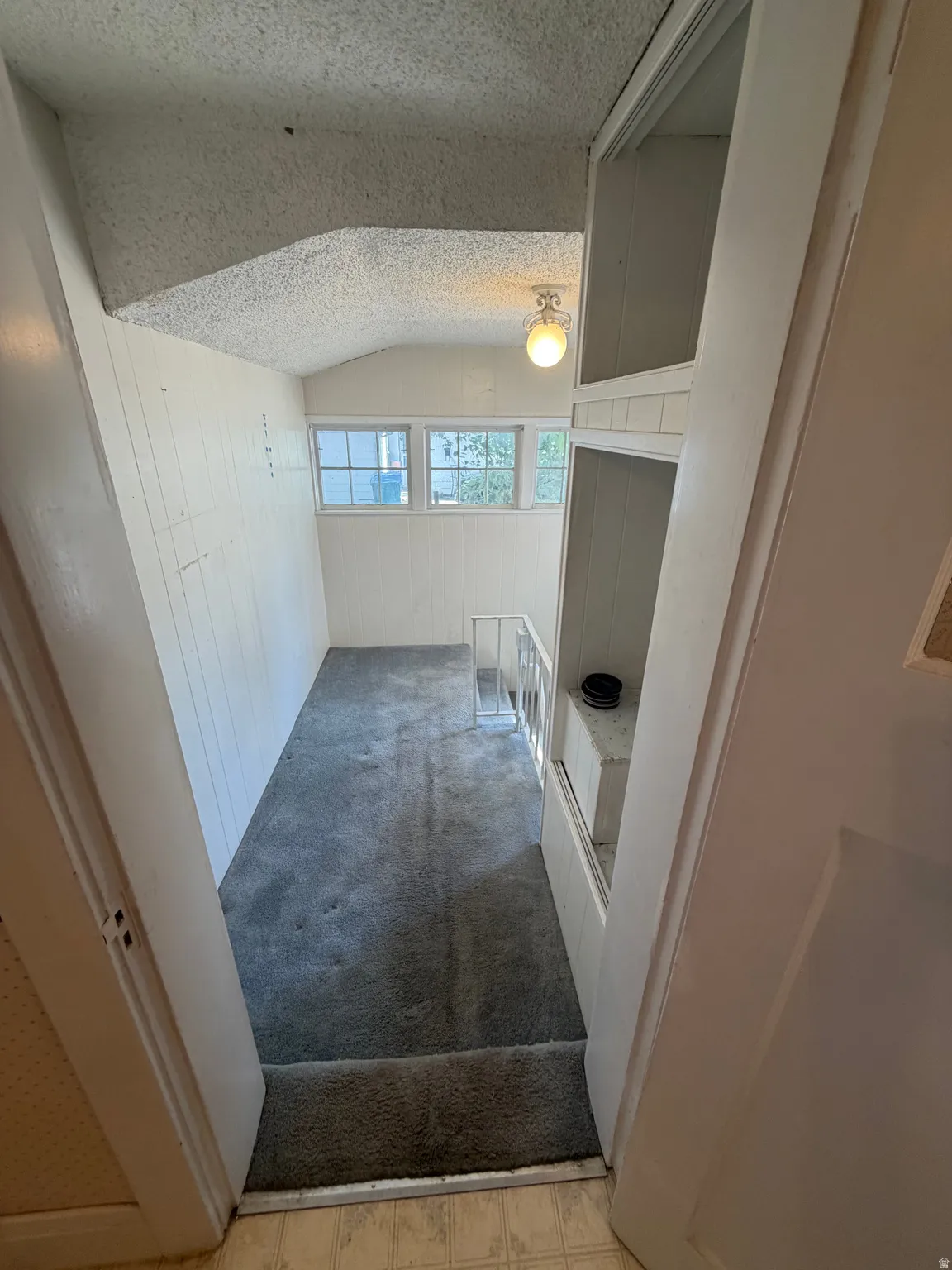 Carpeted area featuring built-in shelving, a ceiling-mounted light fixture, and multiple windows