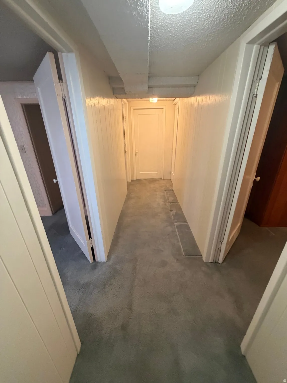 Hallway featuring light-toned carpet flooring and paneled walls