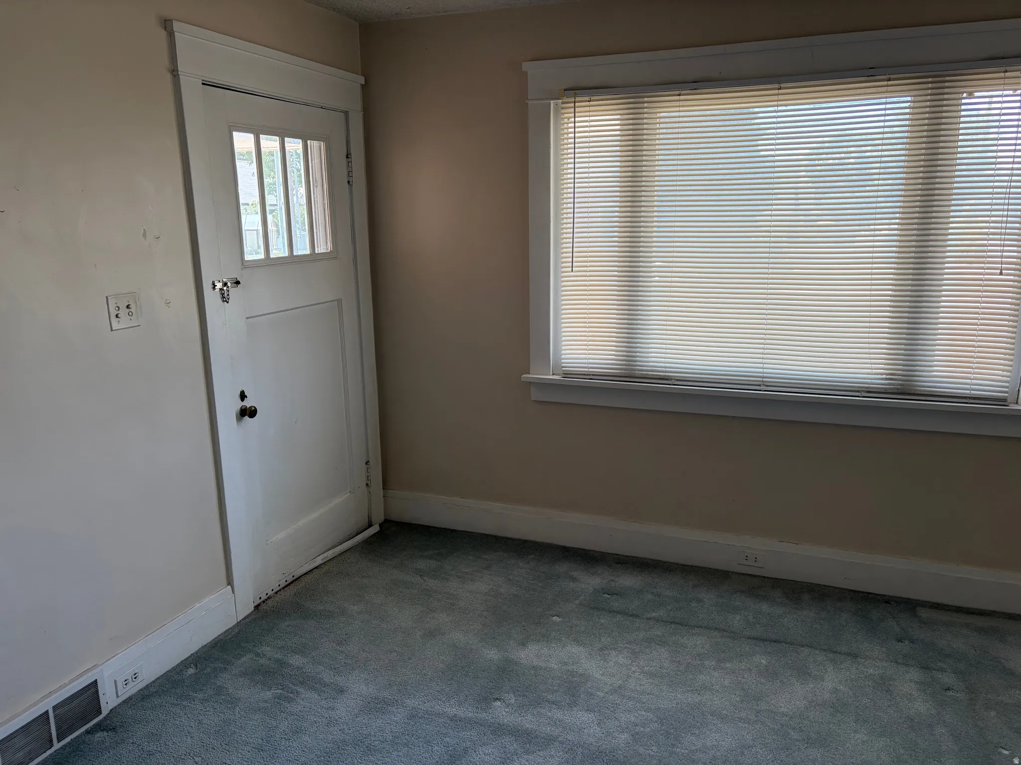 White trim window with blinds and white paneled door