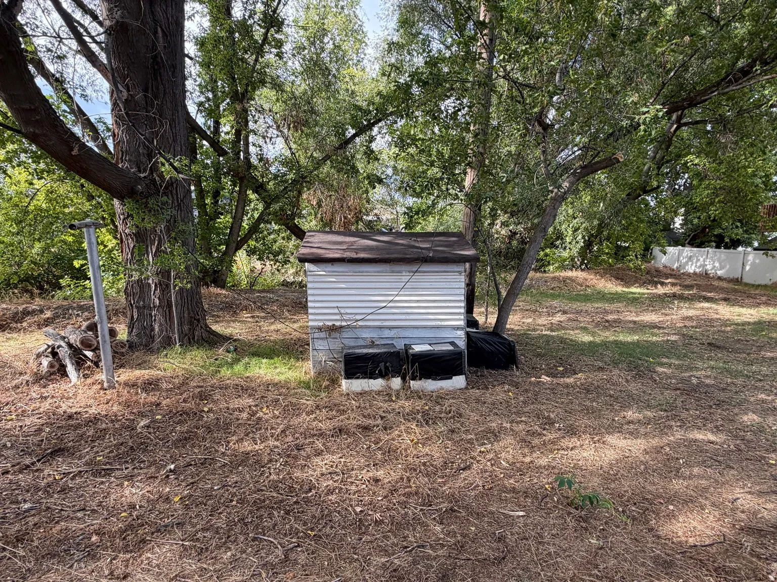 Backyard with shed, shade trees and stream in back