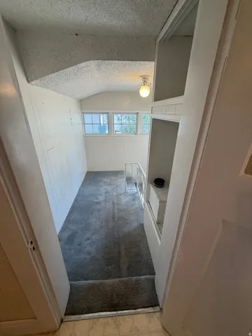 Carpeted area featuring built-in shelving, a ceiling-mounted light fixture, and multiple windows
