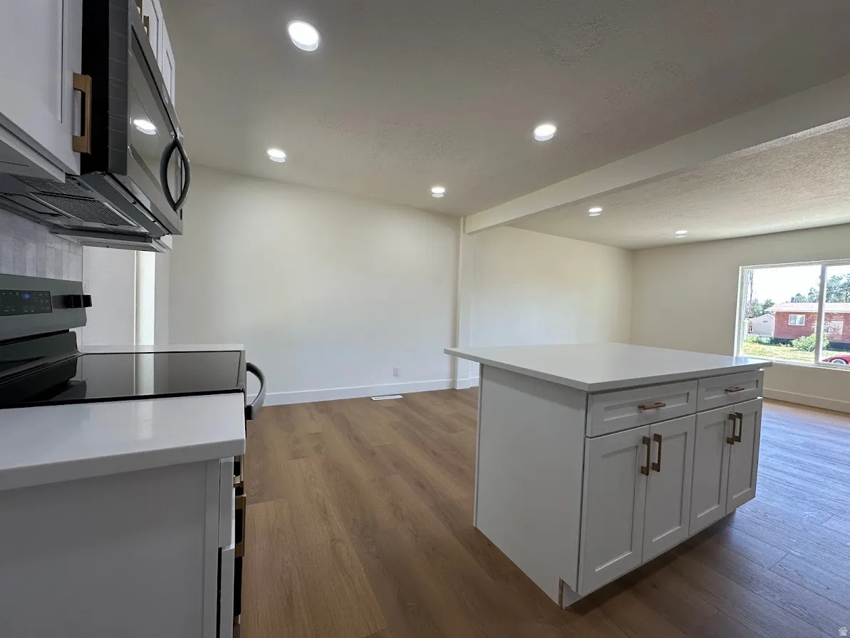 Modern kitchen featuring white cabinetry, a large kitchen island, wood-finish flooring, recessed lighting, and stainless steel appliances