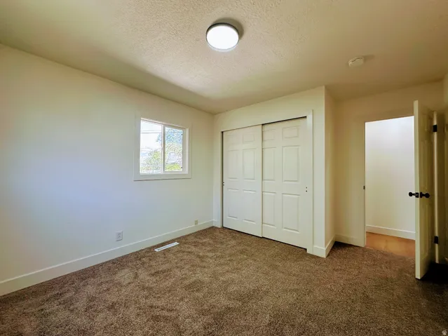Plush carpeting, sliding closet doors, ceiling-mounted light fixture, and a window with white trim