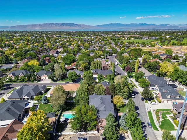 Expansive residential area with mature trees, established homes, and distant mountain scenery