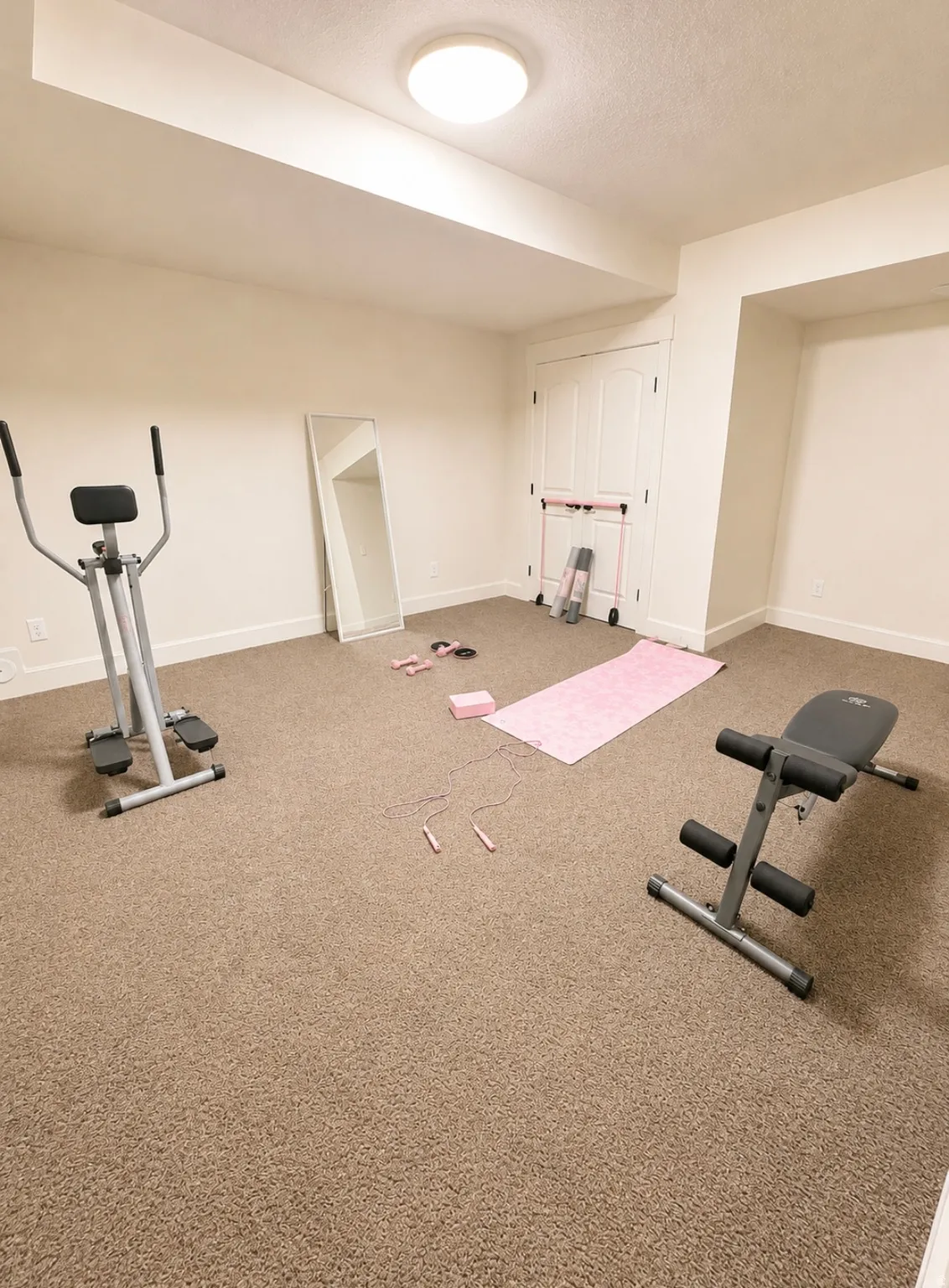 Carpeted bonus room featuring neutral wall paint, a flush-mount ceiling light, and white paneled doors