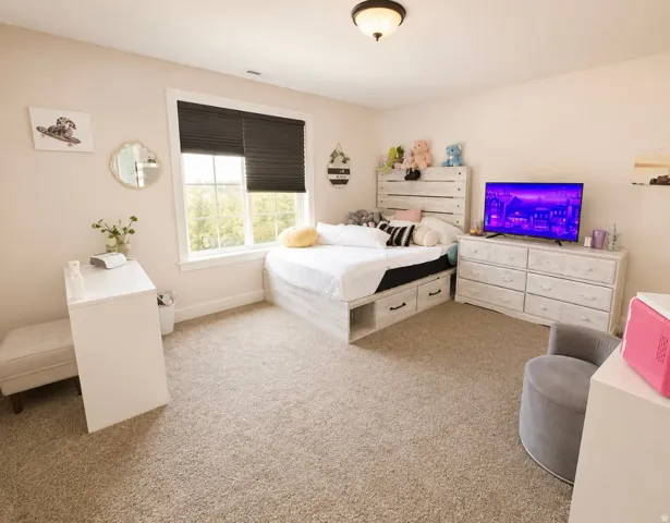 Bright interior space featuring a window with dark blinds, light-colored carpeting, and a flush-mount ceiling light fixture