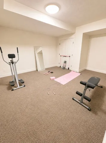 Carpeted bonus room featuring neutral wall paint, a flush-mount ceiling light, and white paneled doors