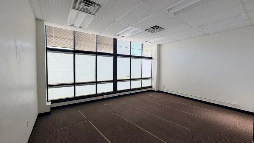 Expansive window array with horizontal blinds, drop ceiling with integrated fluorescent lighting, dark patterned carpet flooring, and white painted walls