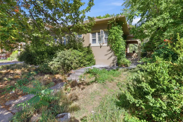Craftsman-style architecture featuring a covered porch, established plantings, and a concrete pathway