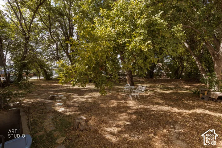 Expansive yard with mature trees and steam in the back