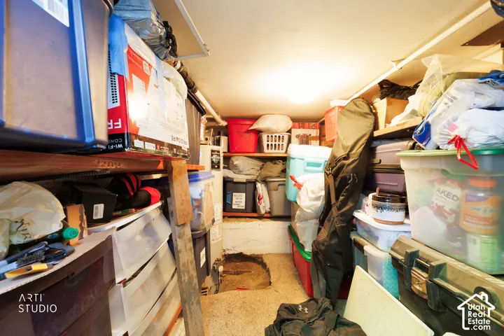 Basement Storage