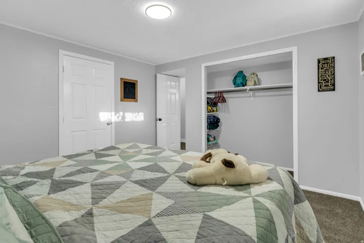 Recessed ceiling light, neutral wall paint, white trim, two panel doors, and built-in closet shelving with hanging rod