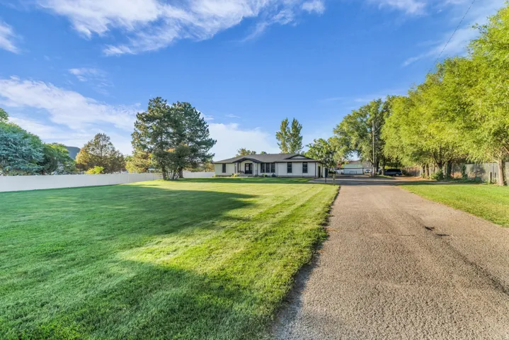 Expansive grassy yard with mature trees, a paved driveway, and a white fence