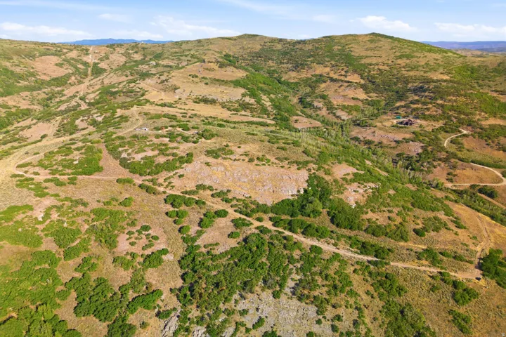 Rolling terrain featuring natural vegetation and winding unpaved paths