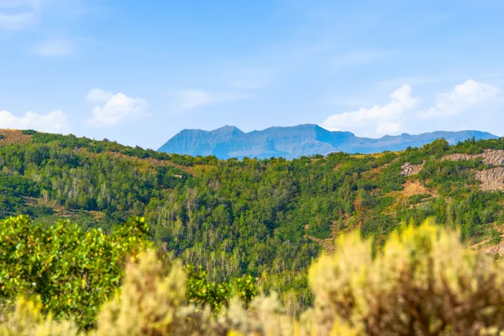 Expansive mountain backdrop with a clear blue sky, featuring a rolling landscape of green and golden foliage