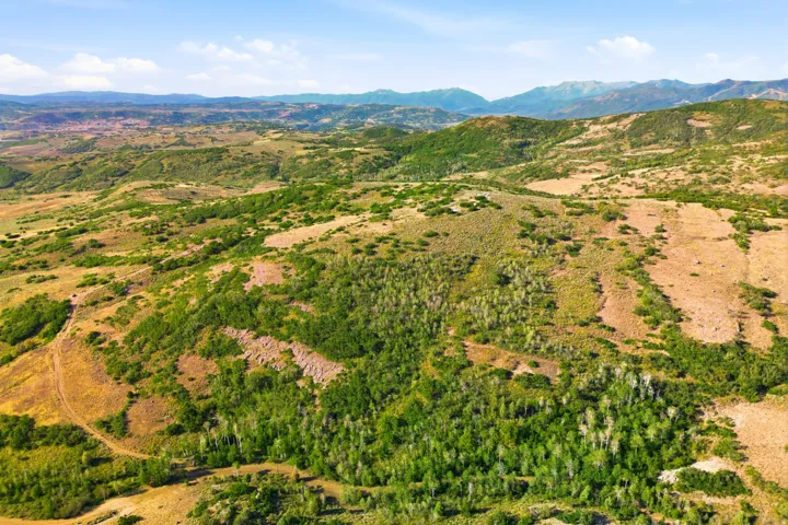 Expansive acreage featuring rolling hills, varied topography, and substantial natural tree coverage