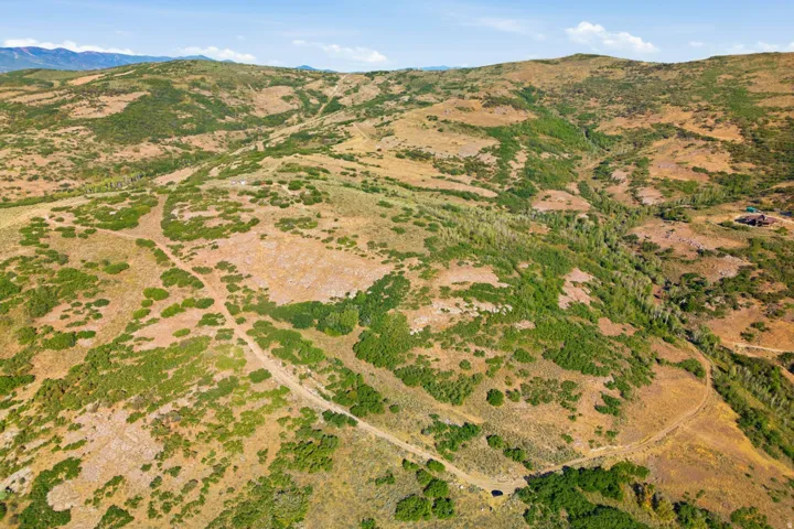 Expansive open land with undulating terrain, dotted with green shrubbery and varied foliage