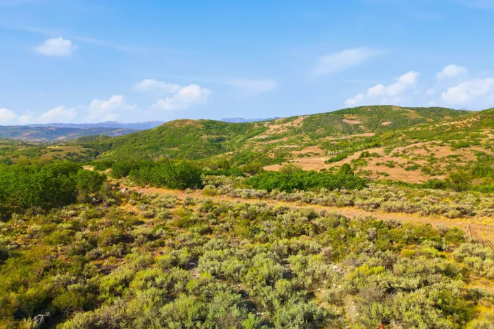 Expansive natural landscape featuring rolling hills, varied green foliage, and distant mountain terrain