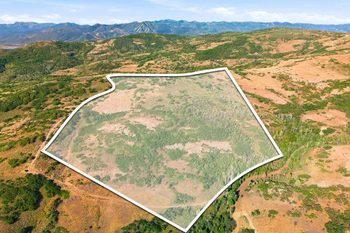 Expansive land parcel featuring diverse natural vegetation and a clear perimeter delineation
