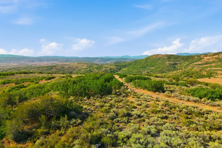 Expansive natural landscape with varied topography and scattered green foliage