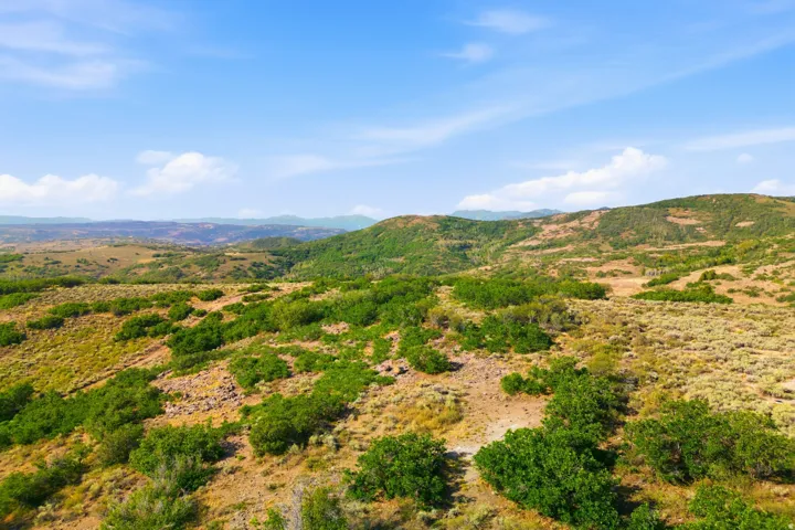 Expansive terrain featuring varied vegetation and distant hills under a clear sky