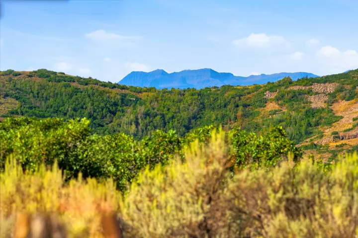 Expansive mountain range backdrop with rolling hills and abundant natural foliage